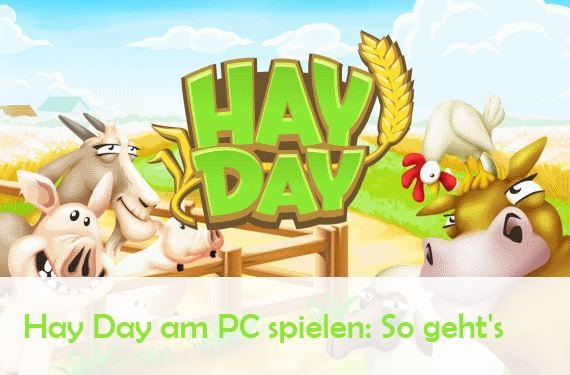 Hay Day für PC: So gibt's die Farm auf Windows