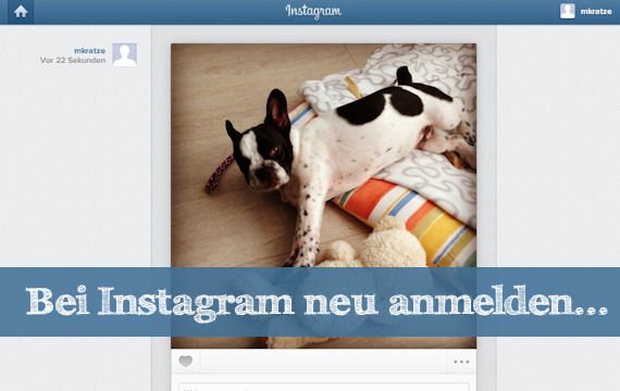 Bei Instagram neu anmelden: Schritt für Schritt