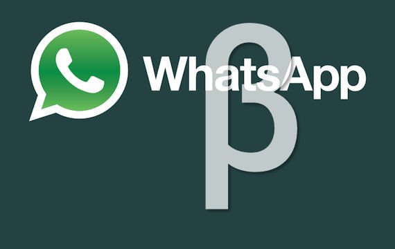 WhatsApp beta installieren und testen