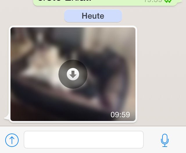 Beim Laden der Bilder außerhalb eines WLAN fällt ein WhatsApp Datenvolumen an