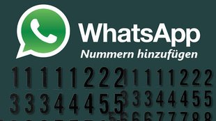 WhatsApp Nummern finden und hinzufügen