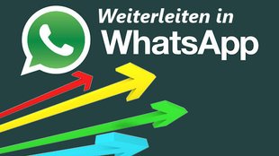 In WhatsApp weiterleiten und das Limit umgehen: Nachrichten, Bilder, Chats