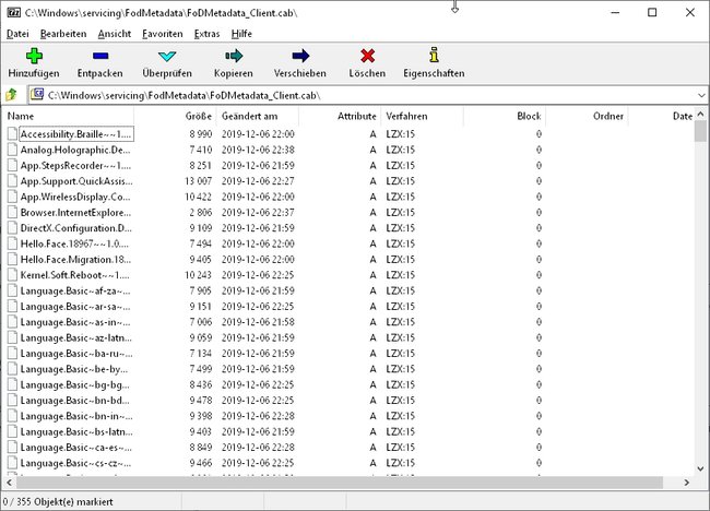 Screenshot einer in WinZIP geöffneten CAB-Datei