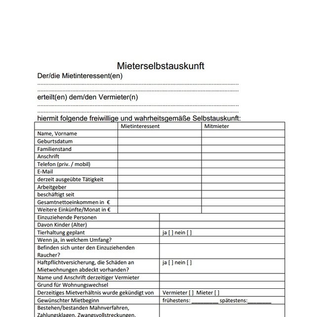 Mieterselbstauskunft-screenshot