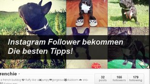 Instagram: Mehr Follower bekommen – so klappt’s