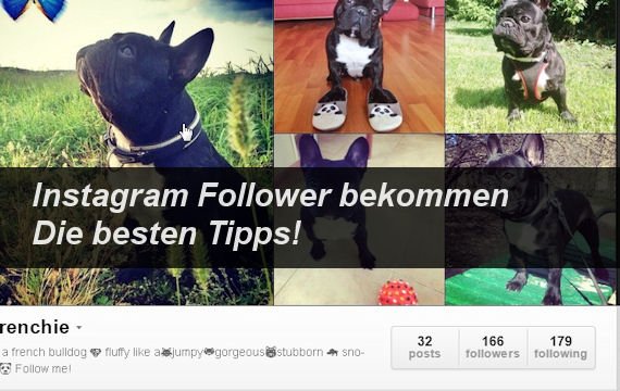 Mehr Instagram-Follower und -Likes bekommen - so geht's