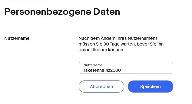 Screenshot der eBay-Profilseite: Feld zur Änderung des Benutzernamens.