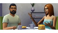 Die Sims 4 mit Crack und kostenlos spielen? Nicht mit Maxis!