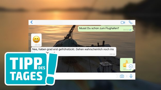 WhatsApp: Hintergründe und Hinweistöne auf dem iPhone einstellen, so gehts