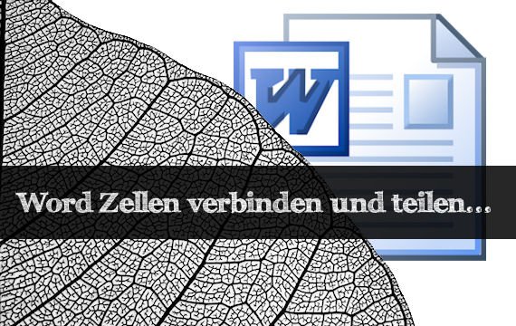 Word: Zellen verbinden oder teilen - So klappt's