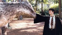 Harry Potter 8: Alle Infos zur Fortsetzung der Filmreihe