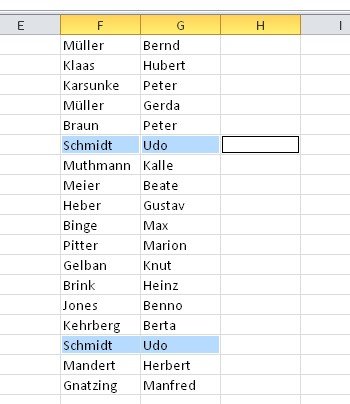 Hier soll Excel aus einer Sammlung von Namen Duplikate entfernen