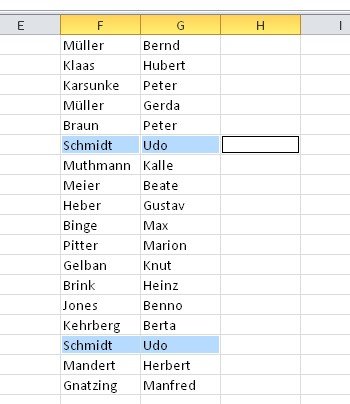Hier soll Excel Duplikate entfernen aus einer Sammlung von Namen