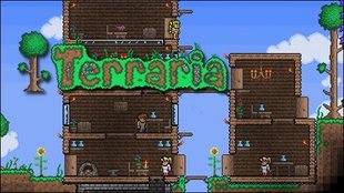 Terraria-Server erstellen: so geht’s mit und ohne Hamachi