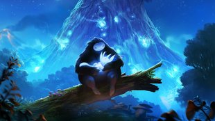 Ori and the Blind Forest: Das bietet die Definitive Edition und so kommt ihr zu den neuen Arealen