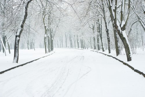 Ist Streusalz verboten? Schnee und Eis von Gehwegen im Winter entfernen