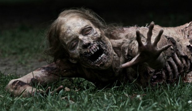 The Walking Dead Fortsetzung The Walking Dead Fortsetzung