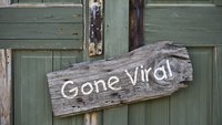 Was heißt "viral"? Bedeutung und Definition viraler Videos