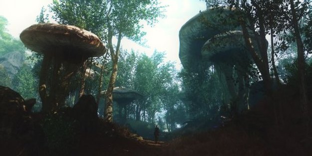Skywind: Neuer Trailer zur Sheogorad-Region