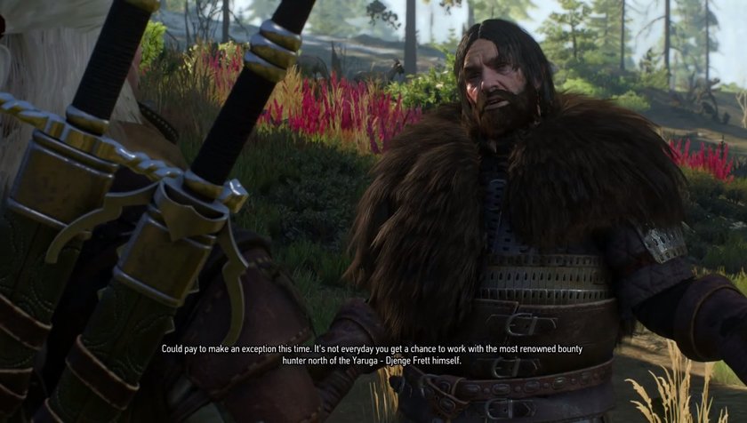 the witcher 3 djenge frett