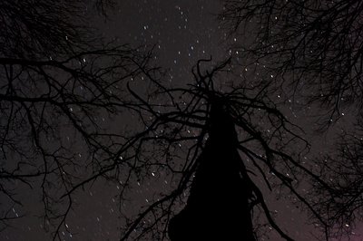 Nachtfotografie - Bernd Kasper / pixelio