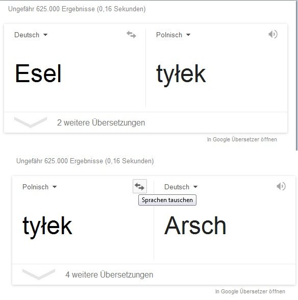 esel-google-fail