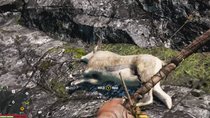 Far Cry 4: Bharal-Location – so kann man die Felle finden