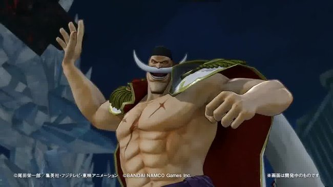 Video-Bild: whitebeard-23413.mp4 (14)