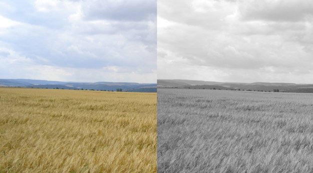 Photoshop: schwarz-weiß – so wandelt ihr Farbbilder um