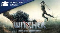 Schnell und Einfach: Zusammenfassung von The Witcher 1