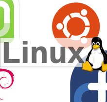 Top 12 der aktuell beliebtesten Linux-Distributionen im Vergleich