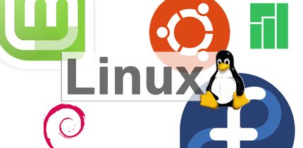 Top 12 der aktuell beliebtesten Linux-Distributionen im Vergleich