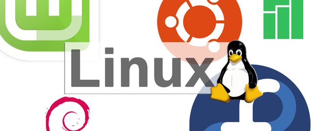 Top 12 der aktuell beliebtesten Linux-Distributionen im Vergleich