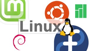 Top 12 der aktuell beliebtesten Linux-Distributionen im Vergleich