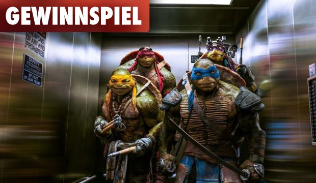 Gewinnt Action-Figuren der Teenage Mutant Ninja Turtles!