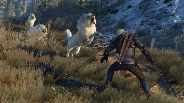 The Witcher 3 Wild Hunt: Grafik-Downgrade? Das Netz spekuliert!