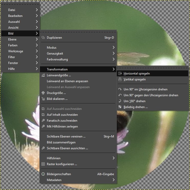 Bild spiegeln Am PC & Smartphone (Android) Fotos entspiegeln so gehts