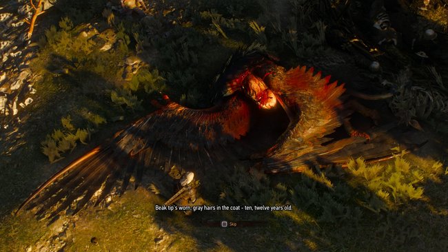 Geralt findet auf Spurensuche einen toten Greifen.