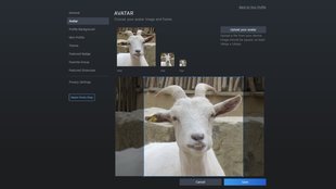 Steam-Avatar ändern: So passt ihr euer Profilbild an