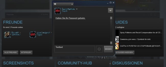 Steam Overlay Chat