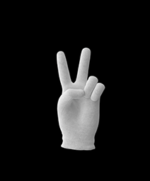 hand-loop-B.emoji