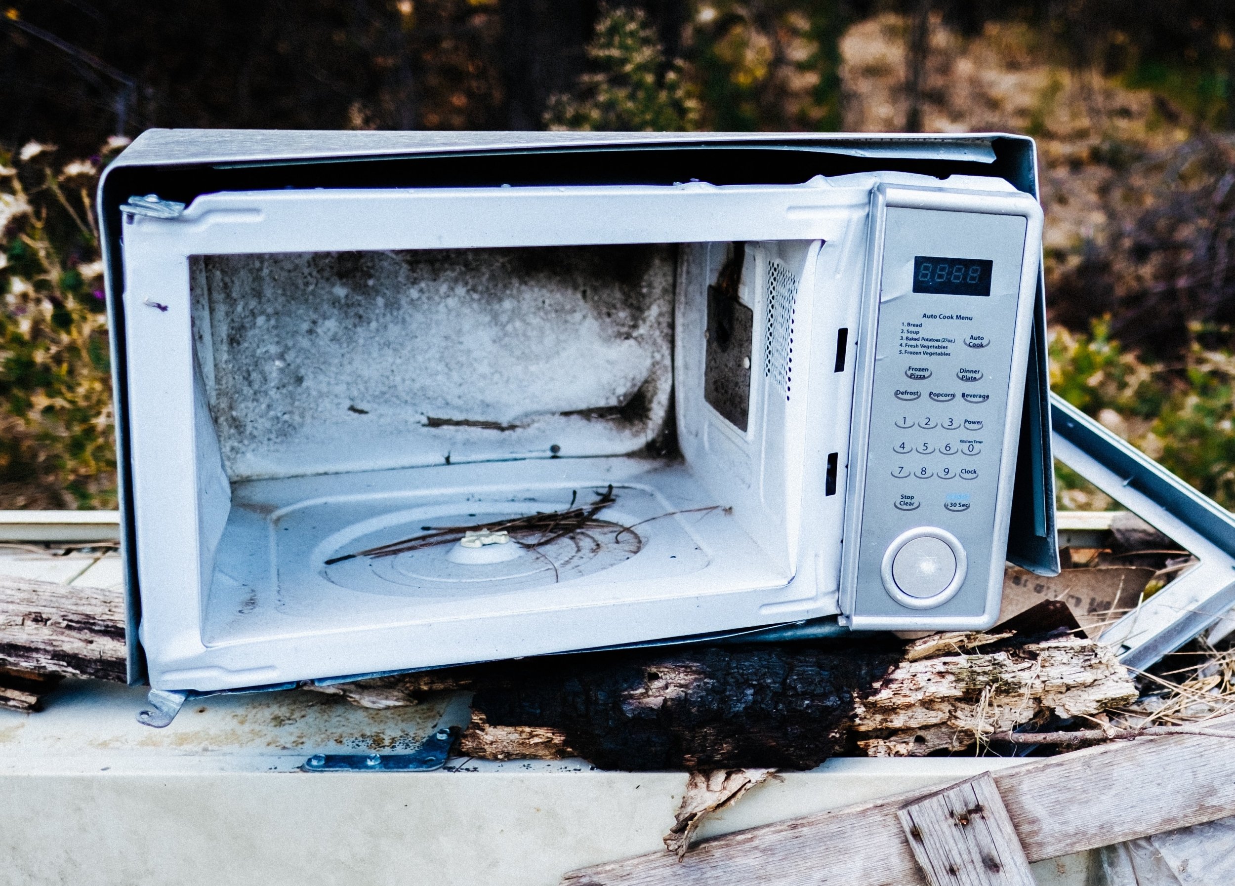 Mikrowelle so schlimm wie Autos: So sehr verschmutzt ihr Küchengerät die  Umwelt - CHIP