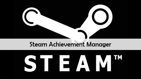 how to use steam achievement manager