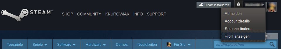 Steam Profil Finden Steam Profil Finden