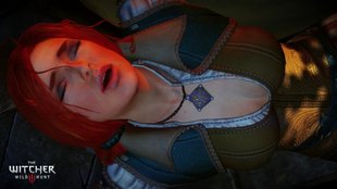 The Witcher 3: Die SEX-Abenteuer des Hengst... Hexers (NSFW)