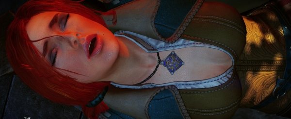 The Witcher 3: Die SEX-Abenteuer des Hengst... Hexers (NSFW)