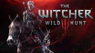 The Witcher 3 startet nicht: Abstürze und Standbilder - Tipps zur Problemlösung (Update: Fehlercode CE-34878-o auf PS4)