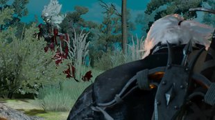 The Witcher 3 Walkthrough: Hexer-Auftrag - Hanna aus den Wäldern (mit Video)