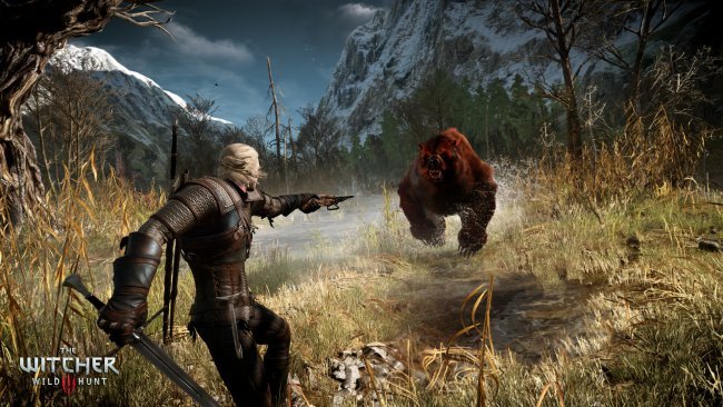 The Witcher 3 Teufel Beim Brunnen Bug www.giga.de
