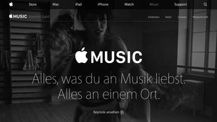 Apple Music funktioniert nicht: Probleme und Störungen lösen